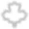 maple-leaf-white.png